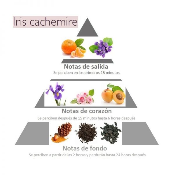 piramide-olfativa-concentrado-de-perfume-iris-cachemire-de-esteban-paris