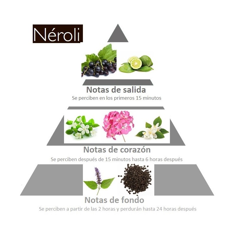 piramide-olfativa-concentrado-de-perfume-neroli-de-esteban-paris
